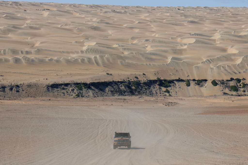 Namib tours