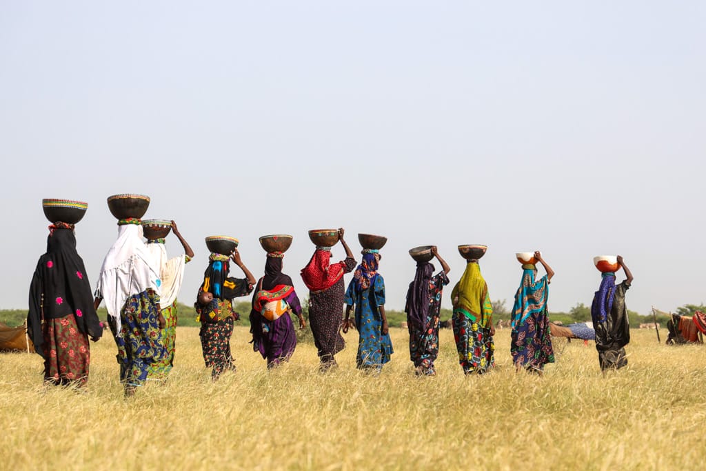 Niger Gerewol