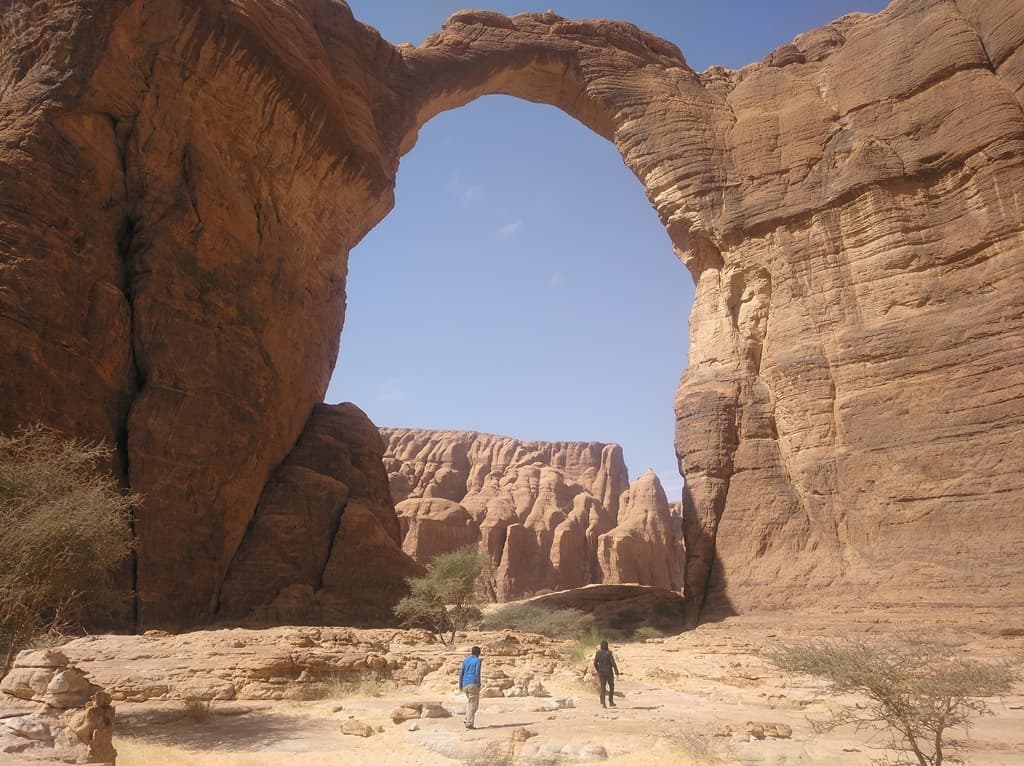 Aloba Ennedi