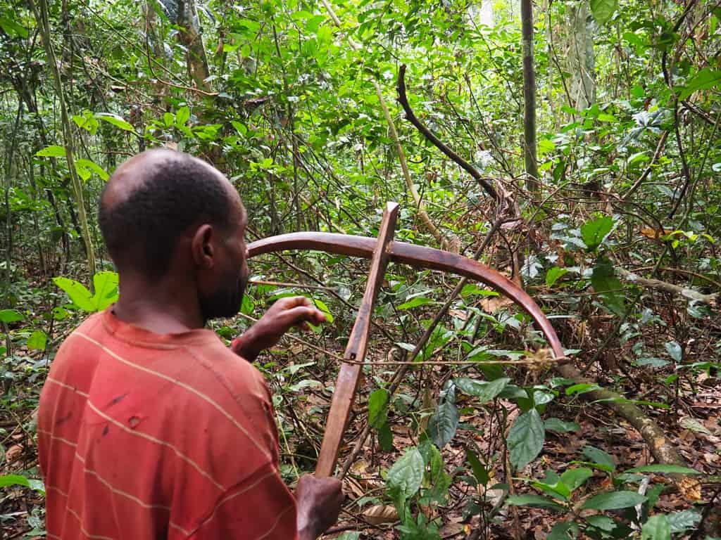 Caza con arco Africa