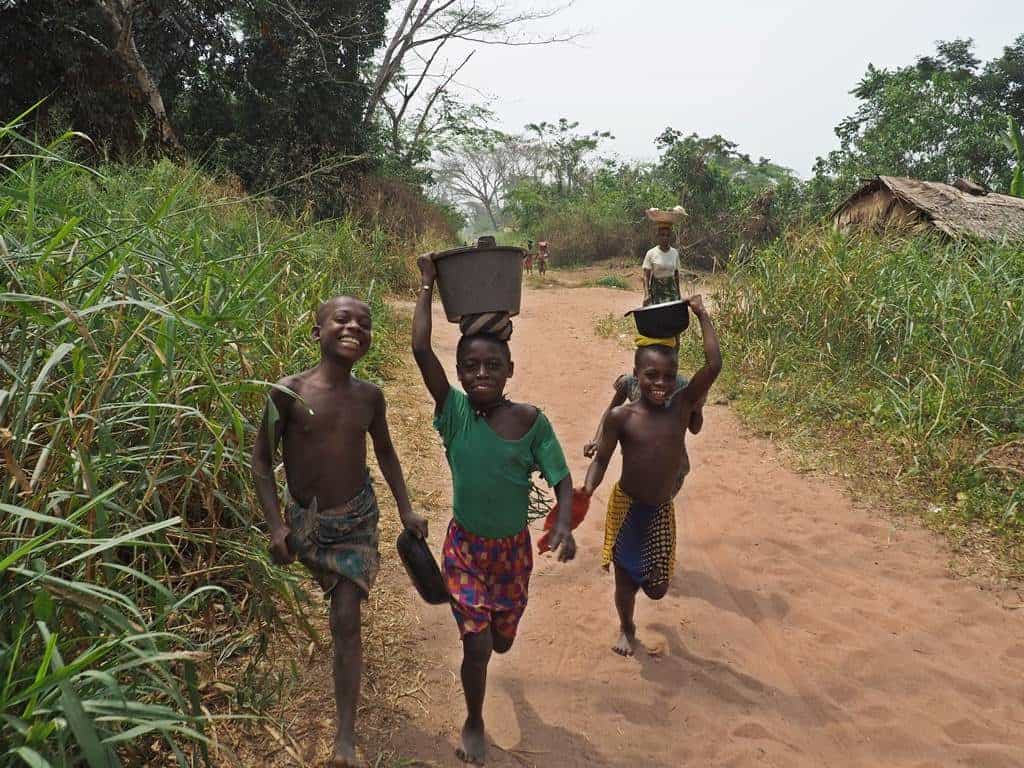 Visitar Dzanga Sangha