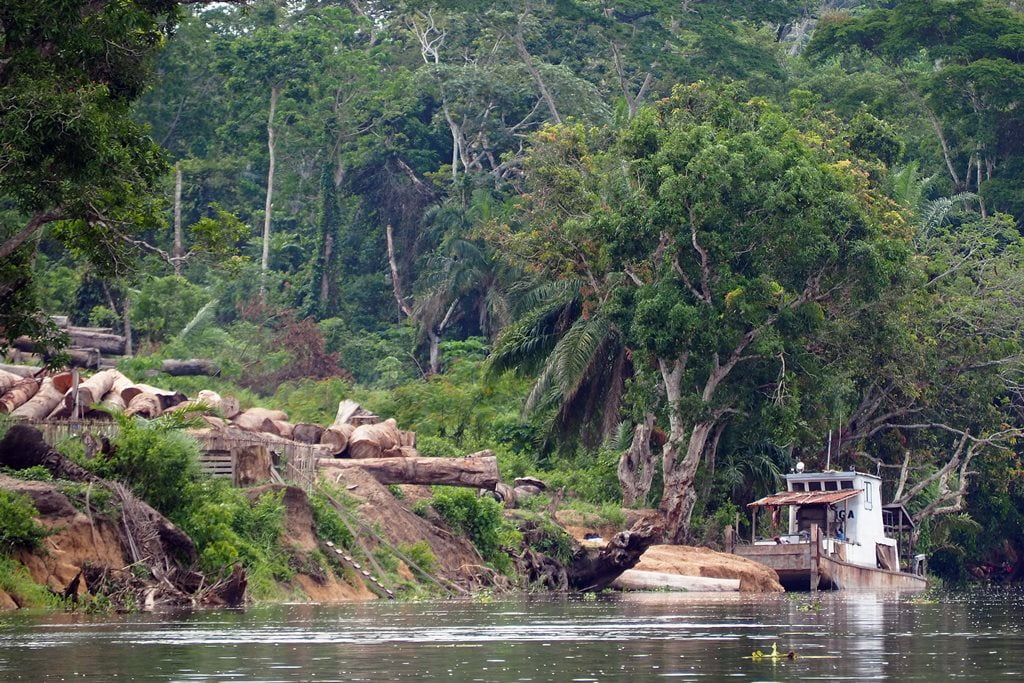 Journey to the Congo River