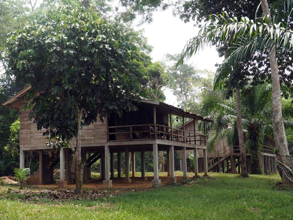 Doli Lodge Dzanga Sangha