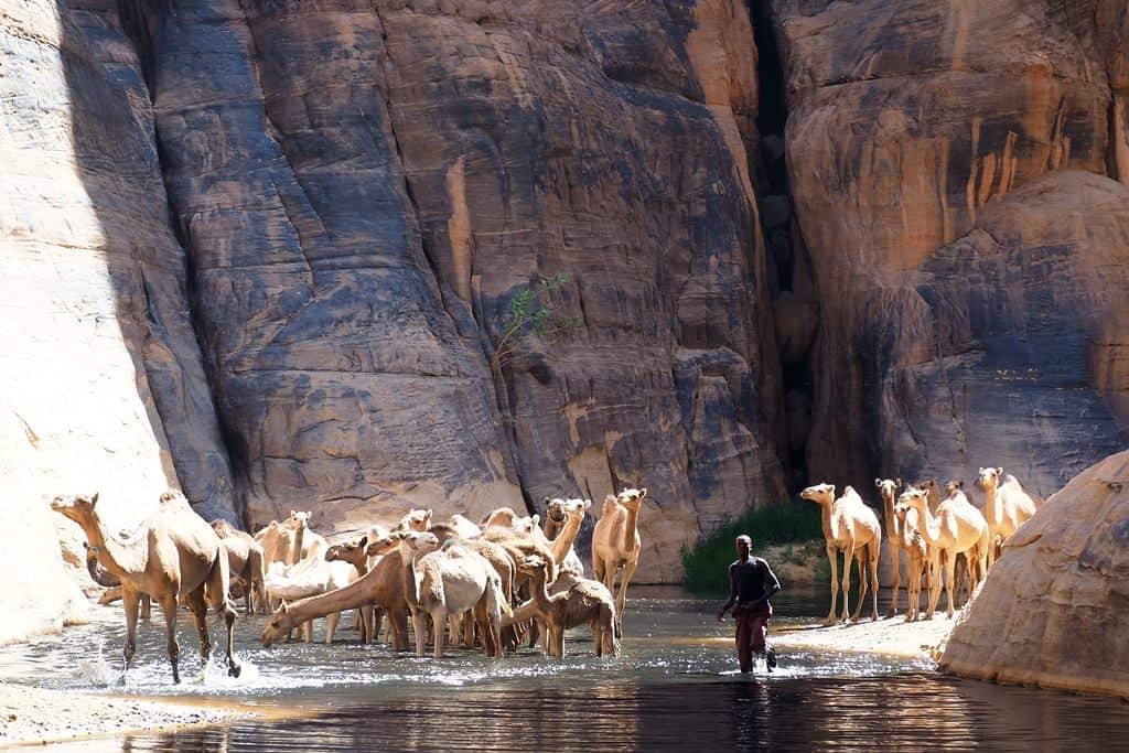 Archei Guelta
