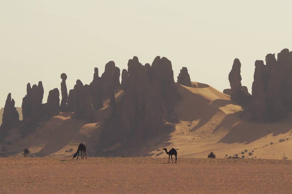 Travel Ennedi Chad