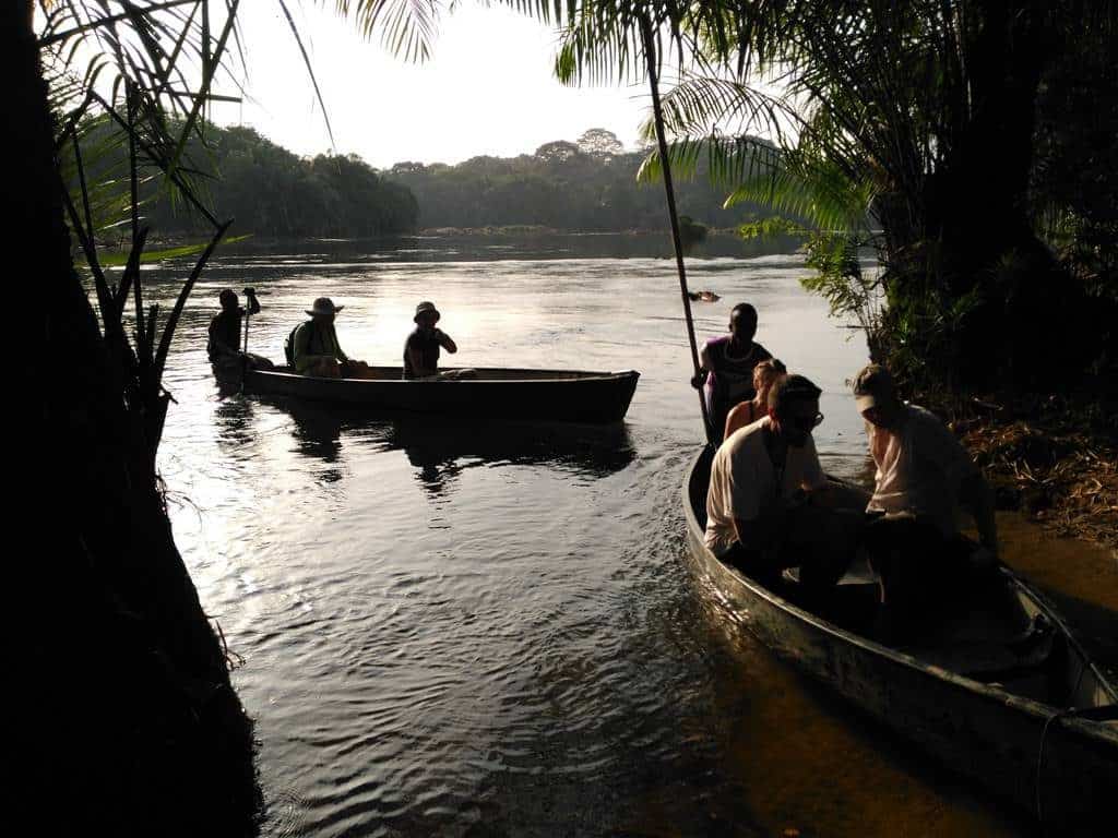 Tiwai Island