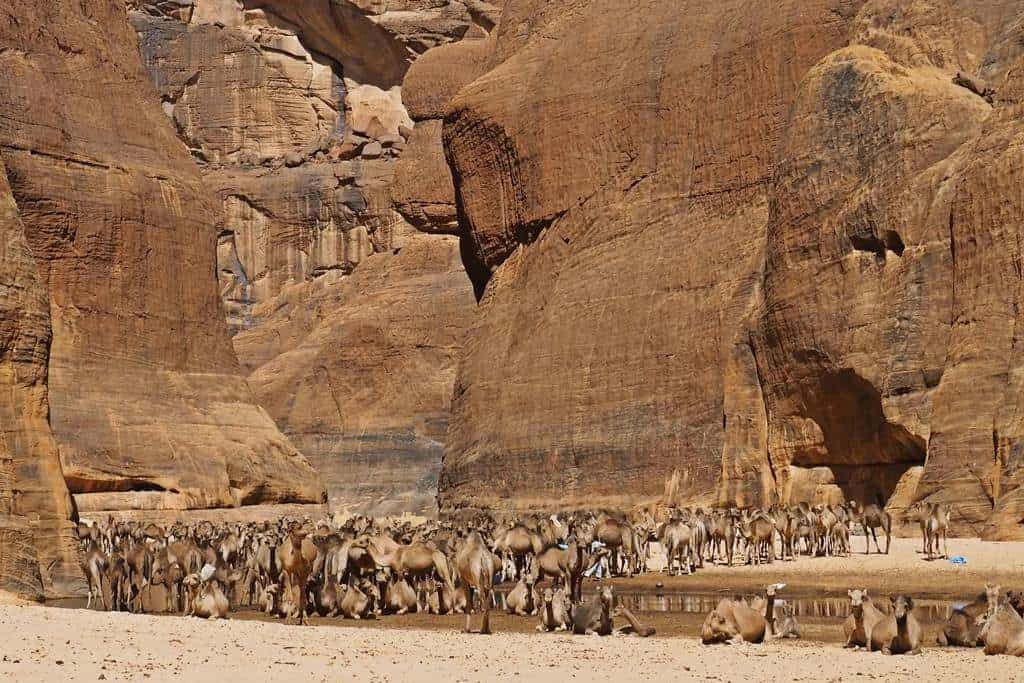 Guelta de Archei
