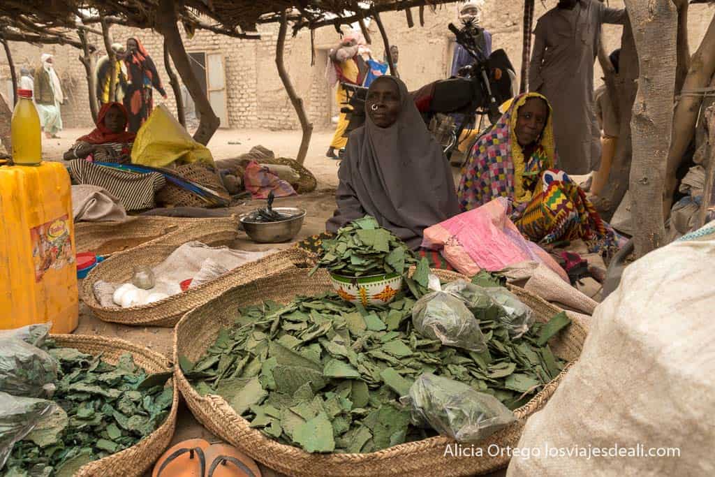 spirulina stall at isseirom market near chad lake