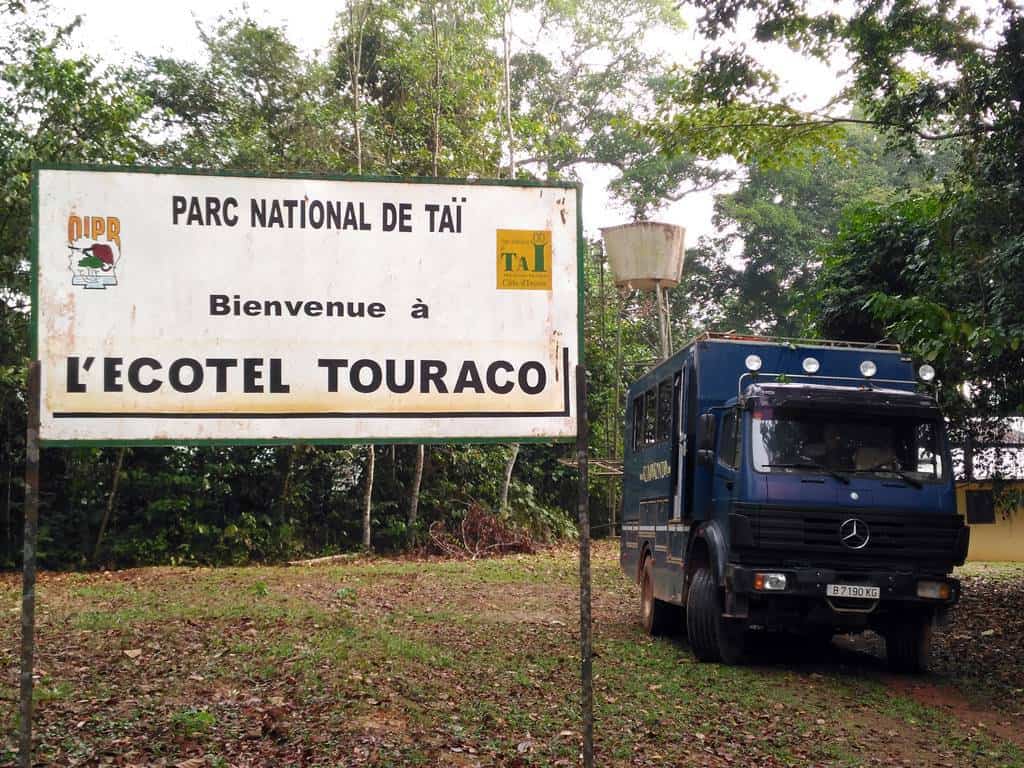 Visit Tai National Park in Ivory Coast