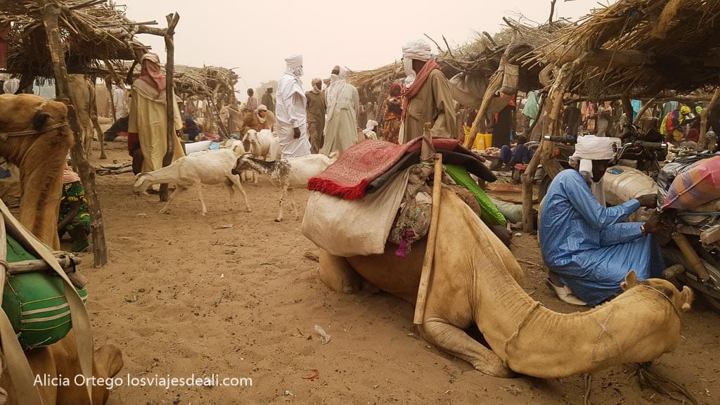 Isseirom market with a seated camel, goats and men in turbans
