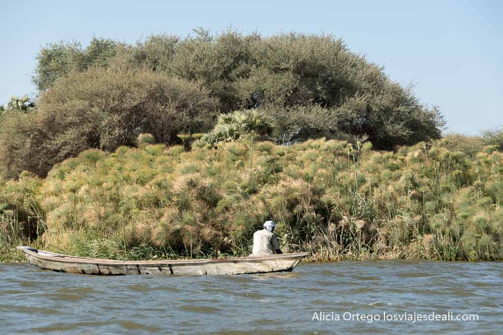 Fisherman in his boat in front of an island covered in papyrus