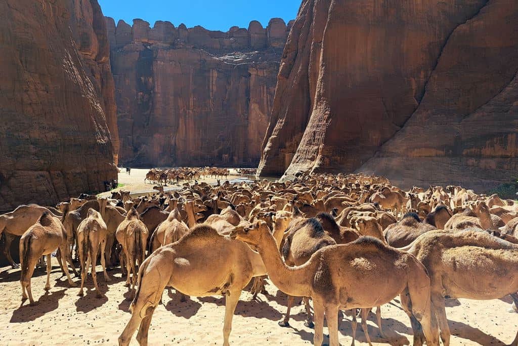 Viajes a Chad