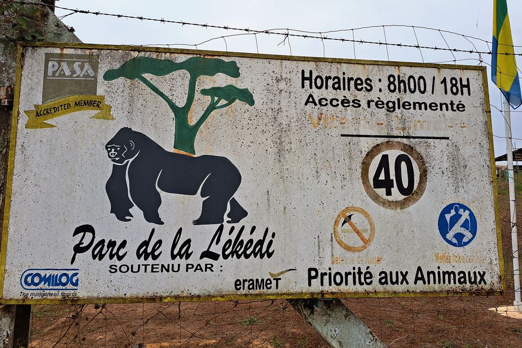 Lekedi
