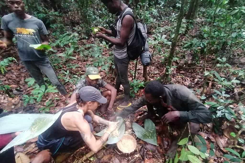 Lomako Reserve