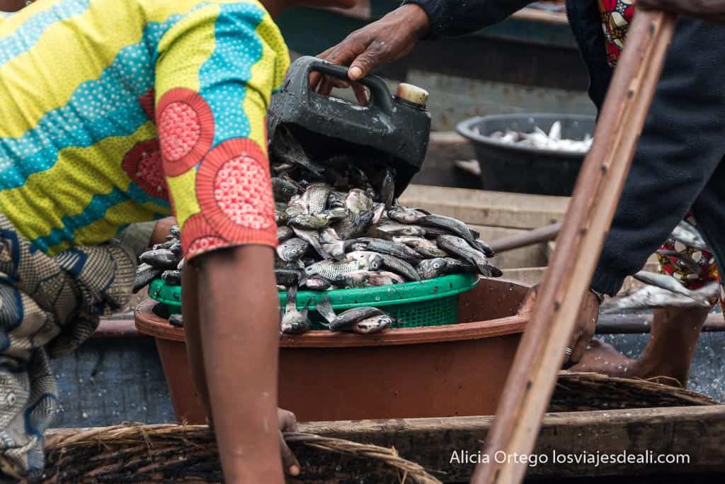 Pescado de la Laguna de Lagos en Makoko