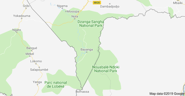 Map Dzanga Sangha