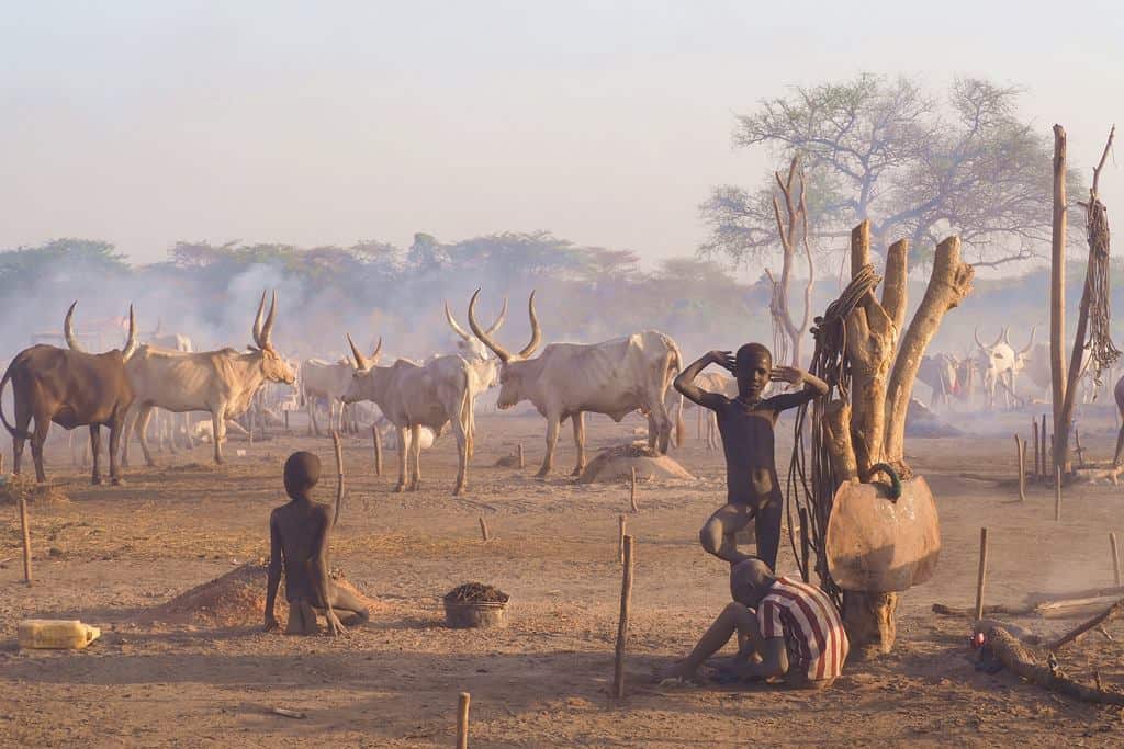 Viajes a Sudan del Sur