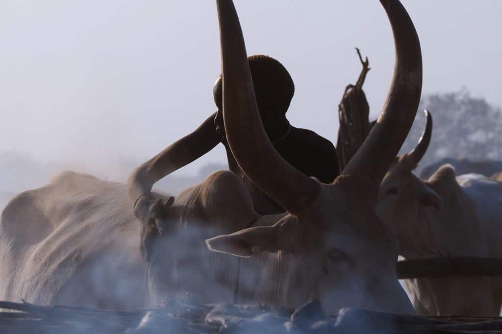Mundari tribe
