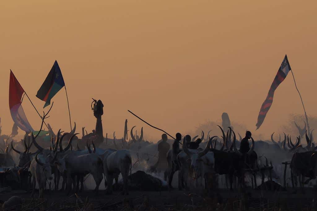 Mundari cattle camp