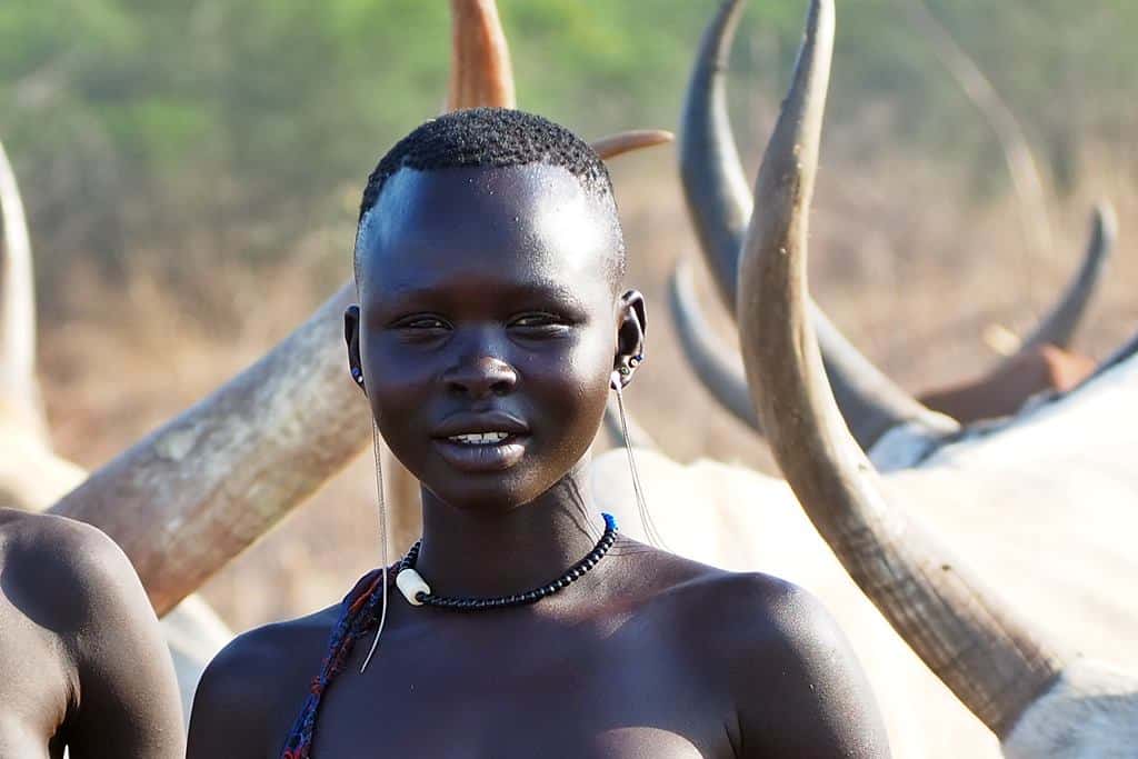 Mundari cattle camp