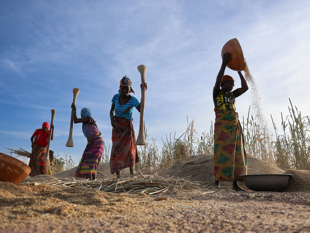 mujeres venteando mijo en níger