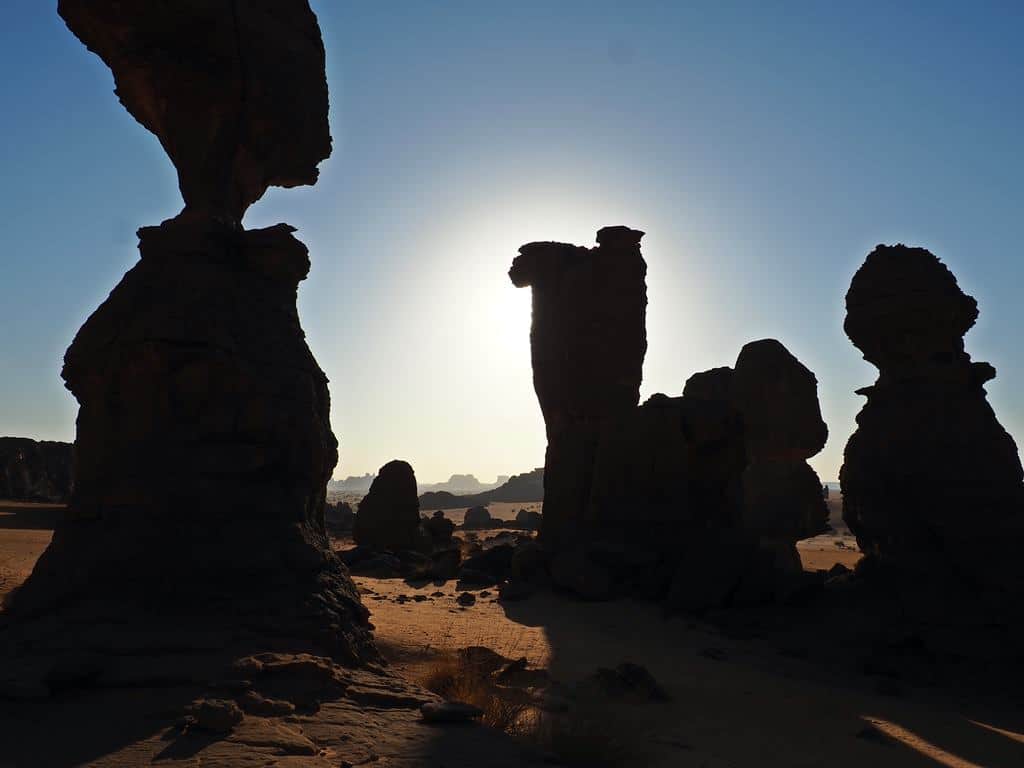 Trips to Chad