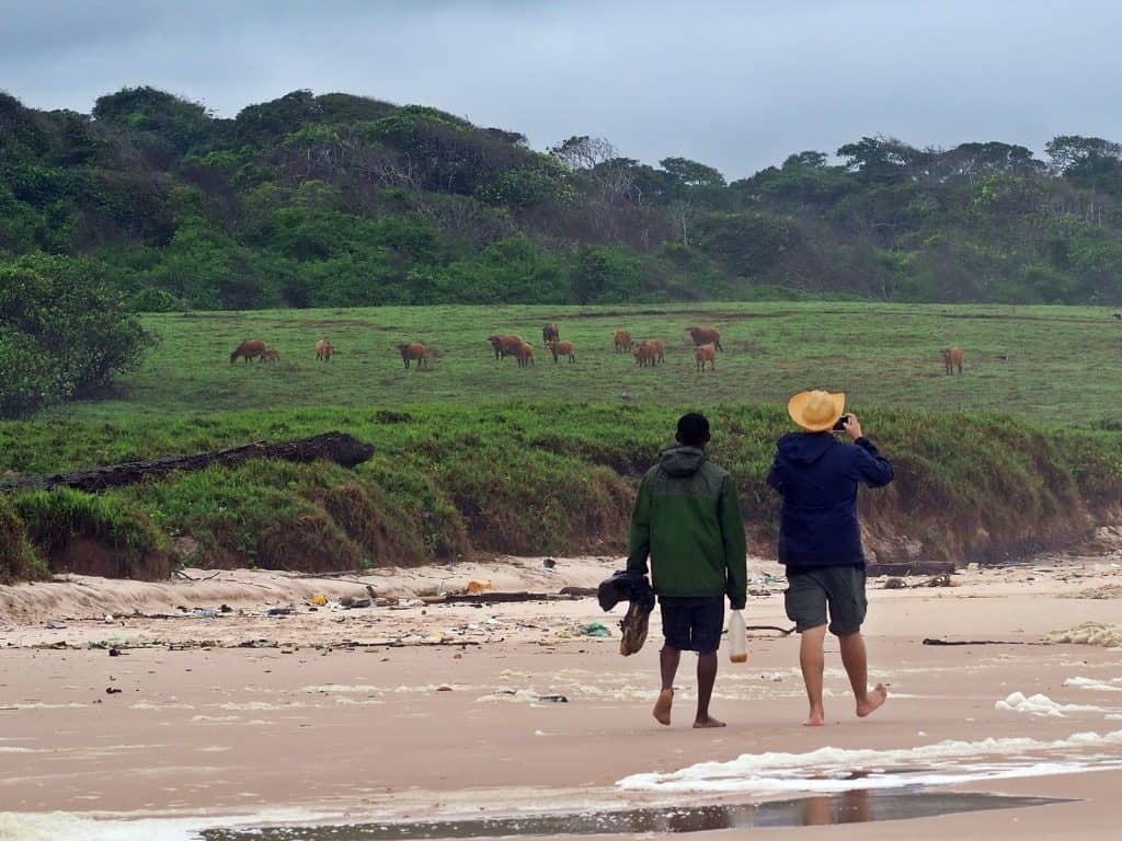 Viajes a Gabon