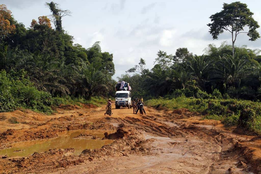 Parc National de Tai Cote dIvoire