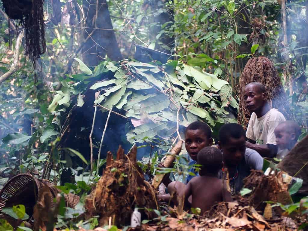 Baaka pygmies