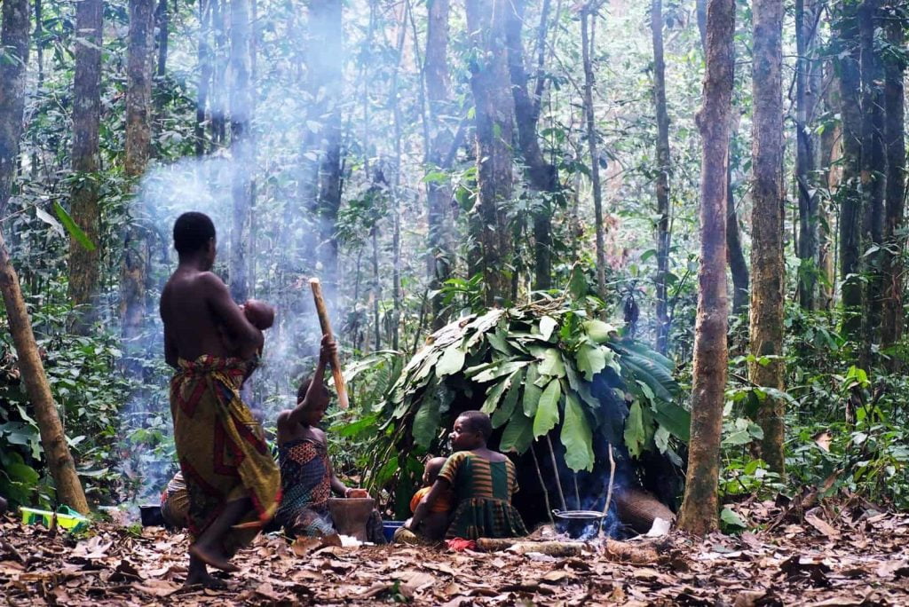 Trips to the Central African Republic