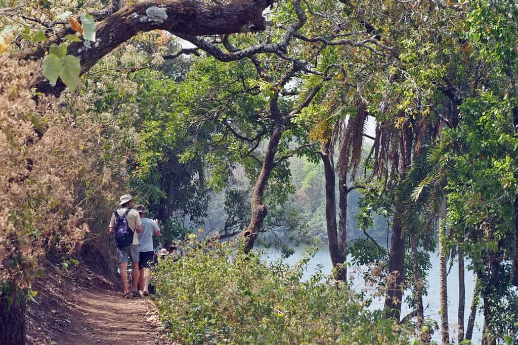 Trips to Cameroon