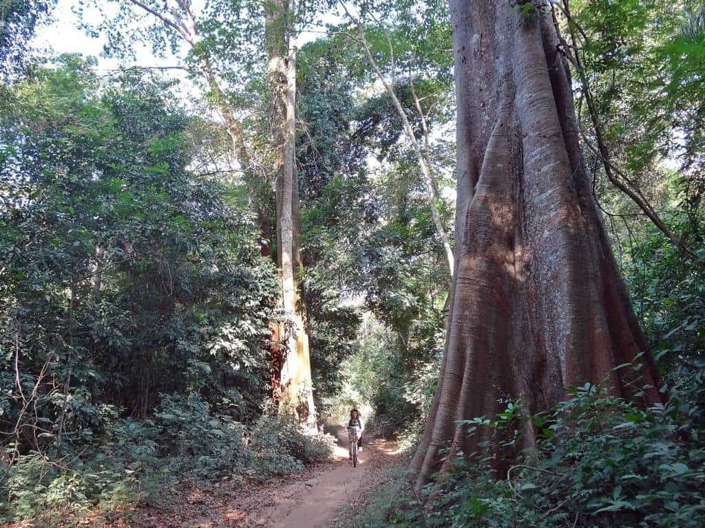 Ruta en bicicleta por Cantanhez Guinea Bissau