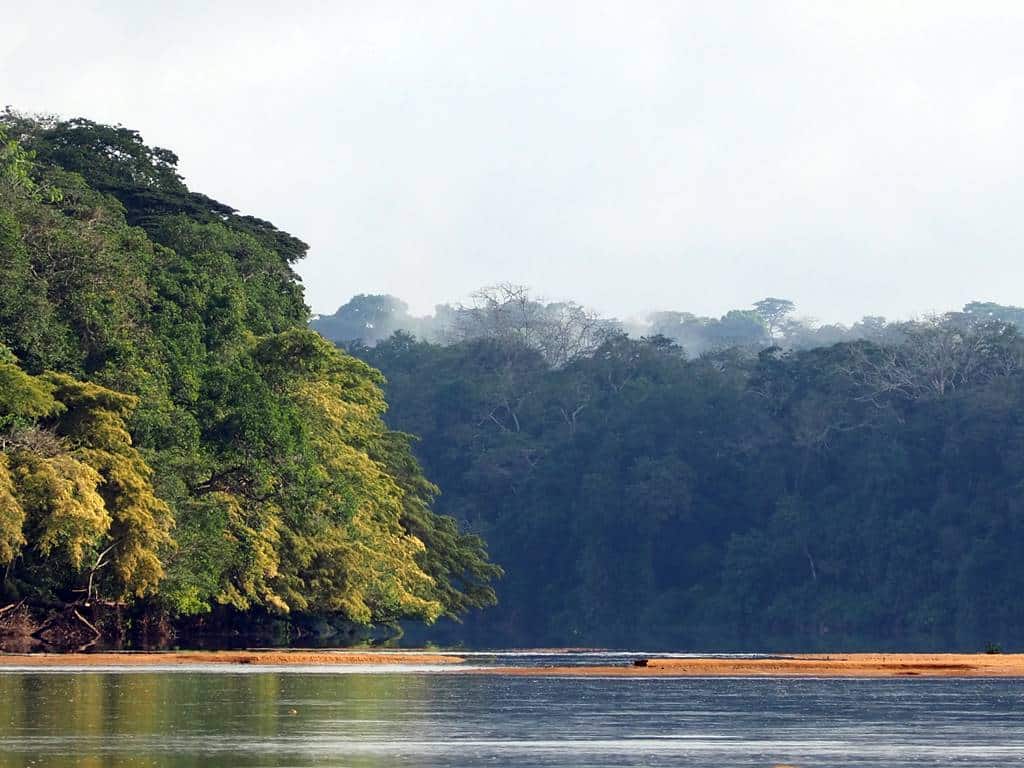 Sangha Libongo