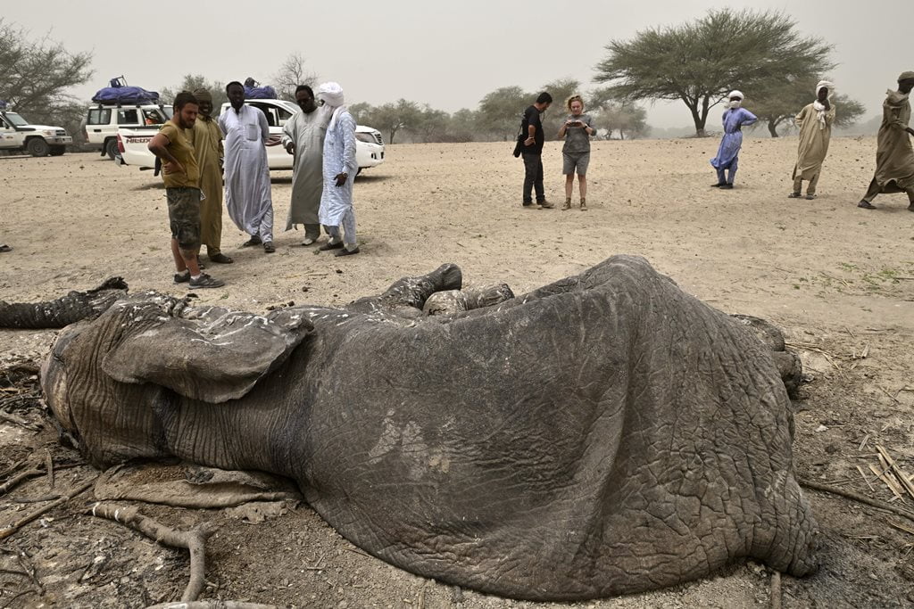 Lago Chad