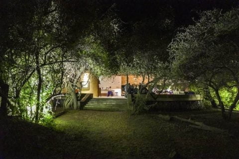 Tinga Camp