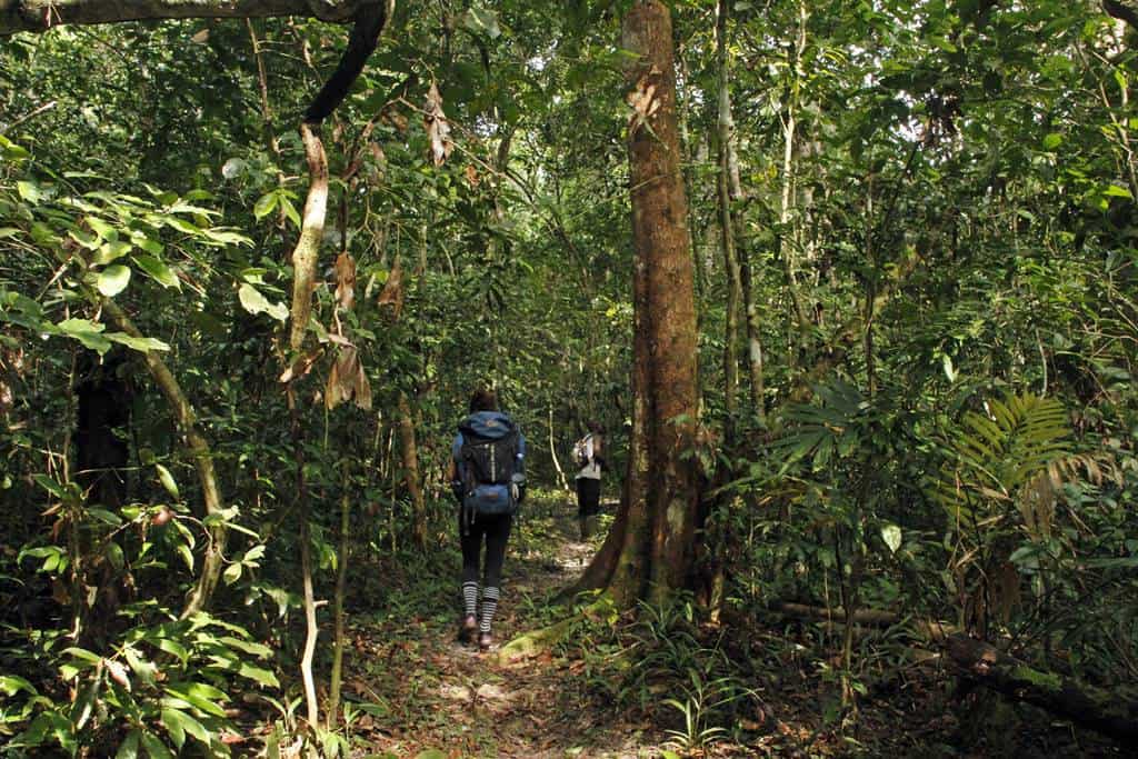 Visiting Tai National Park