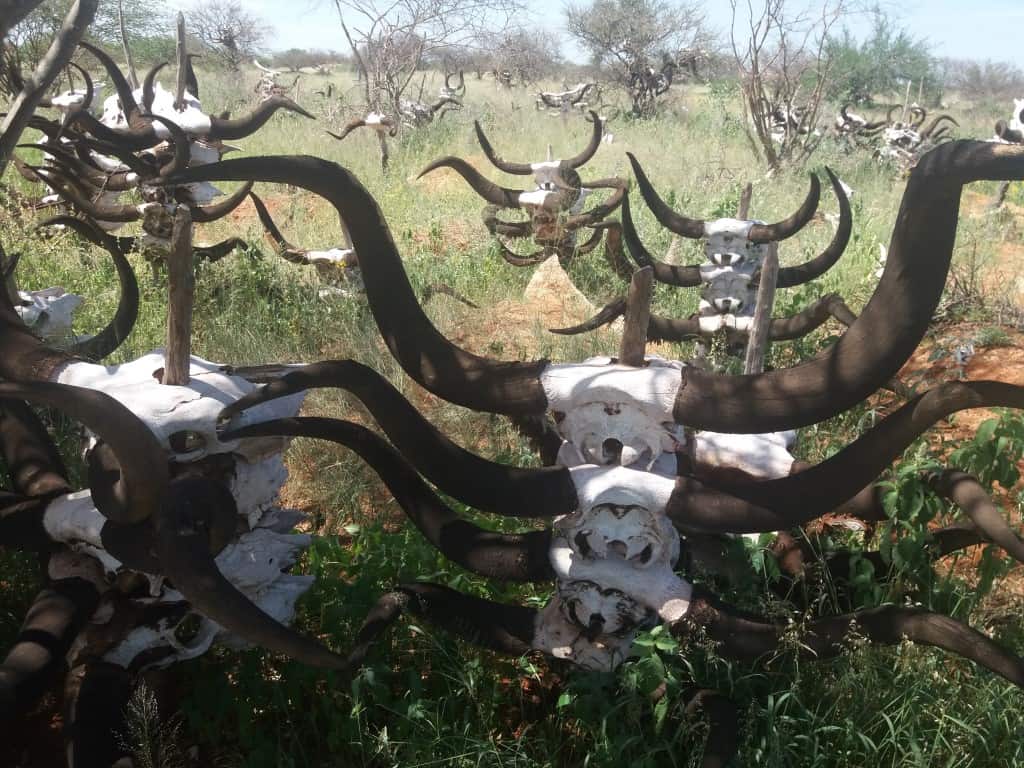 tumbas en el cementerio de tombua