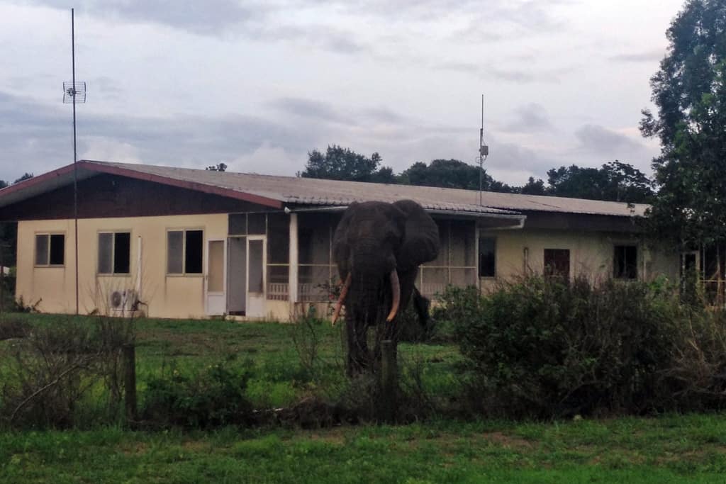 Viajar a Gabon