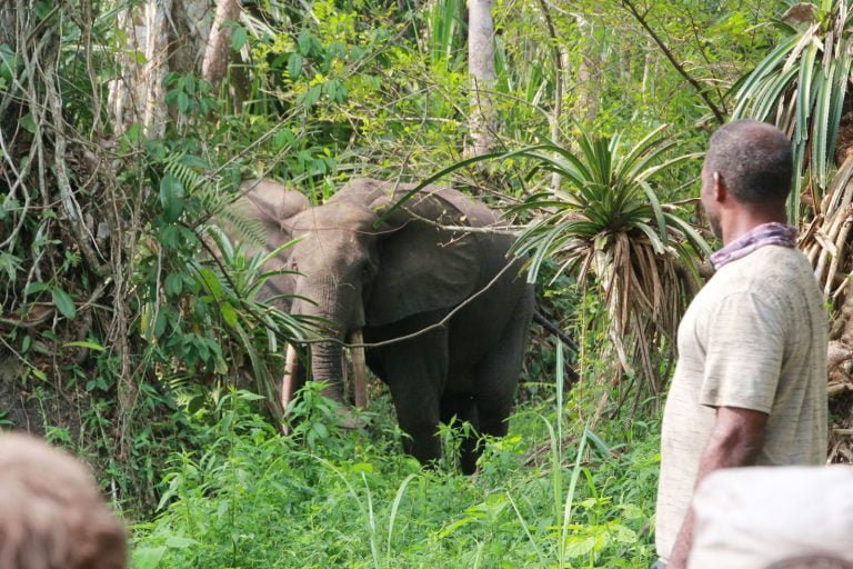 Viaje a Gabon