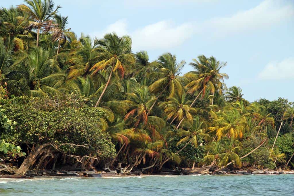 Isla de Corisco