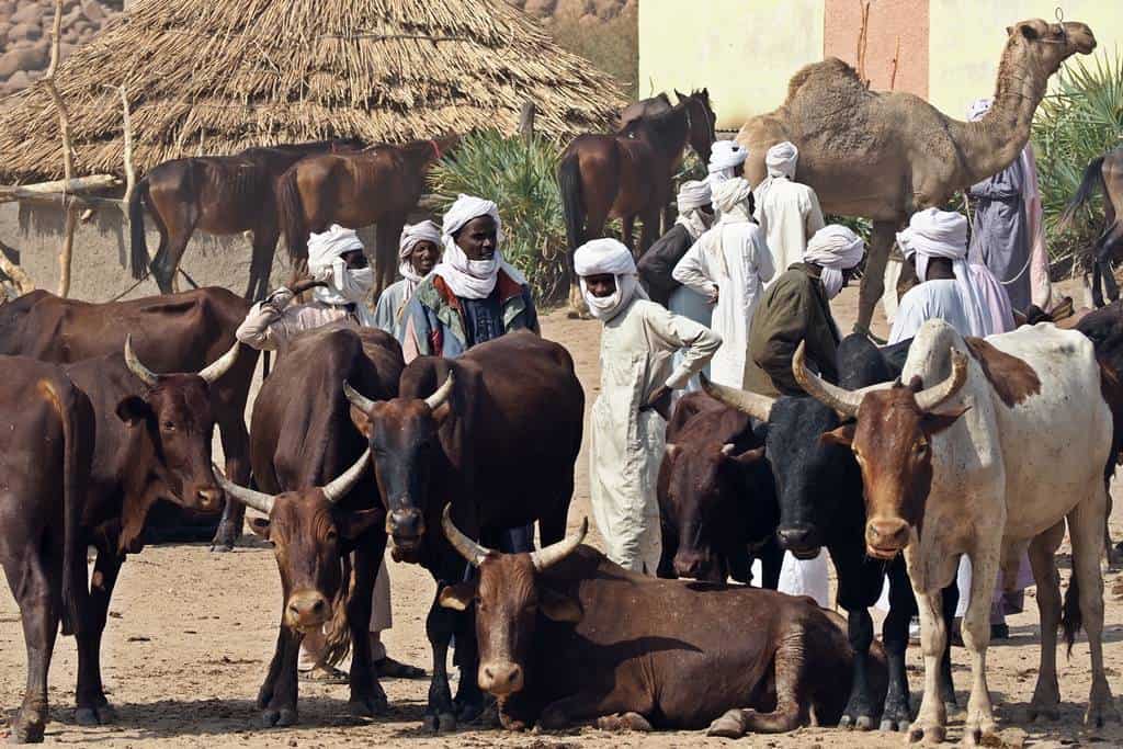 Viajes a Chad