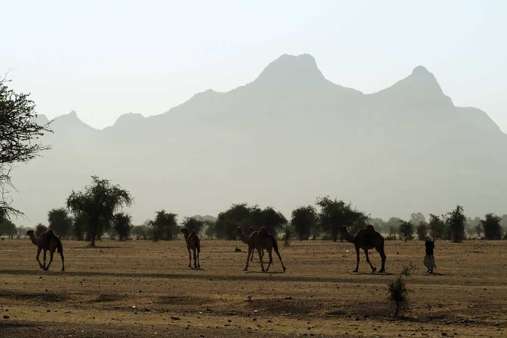 Turismo en Guera Chad
