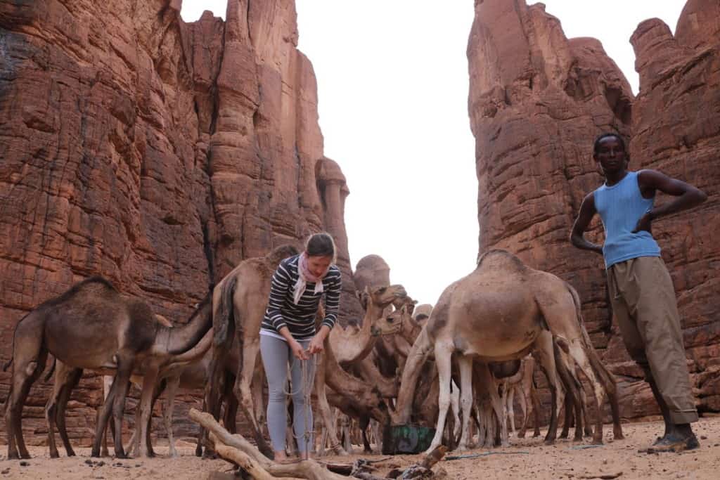 Trips to Chad