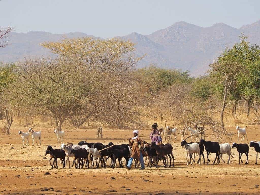 Viajes a Chad