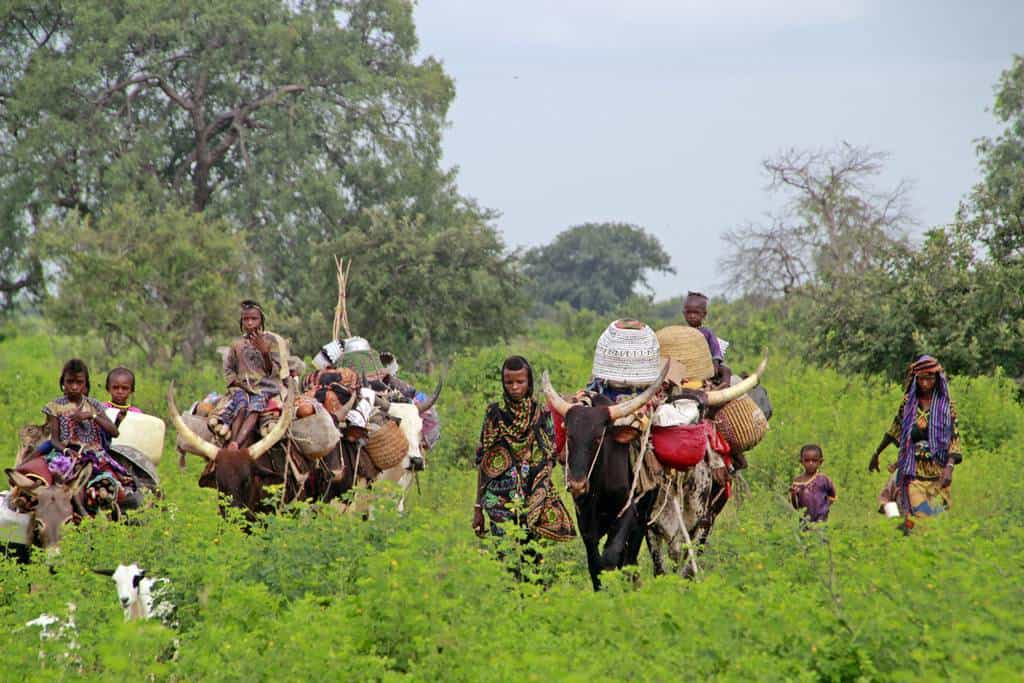 Visit tribes in Africa