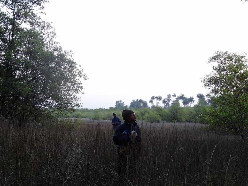 Cantanhez Guinea Bissau