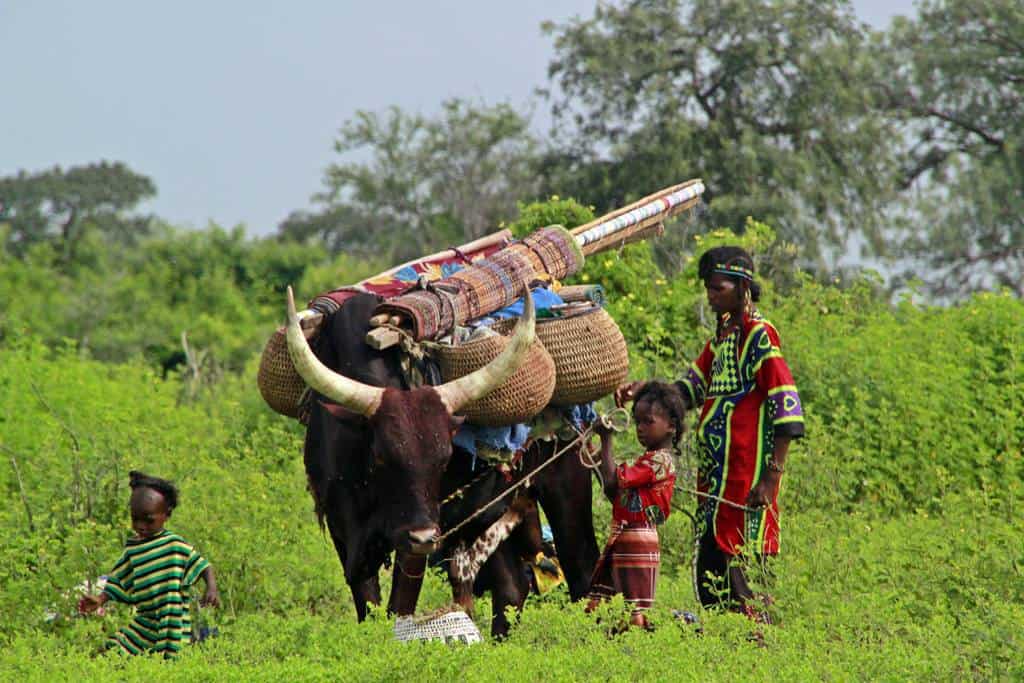 Wodaabe nomads Chad