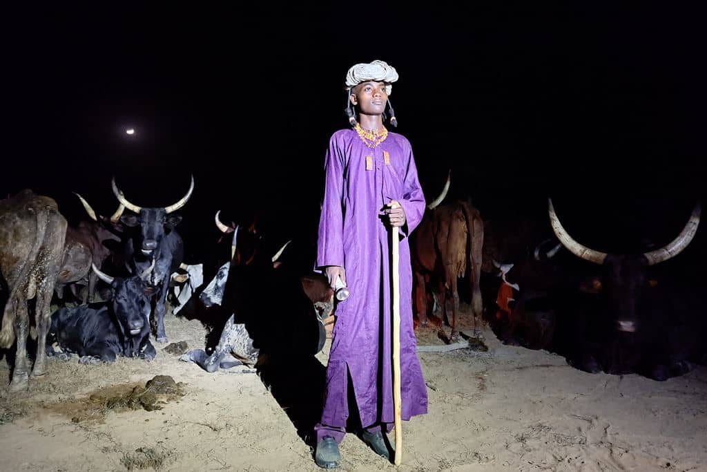pastor wodaabe de chad con sus vacas