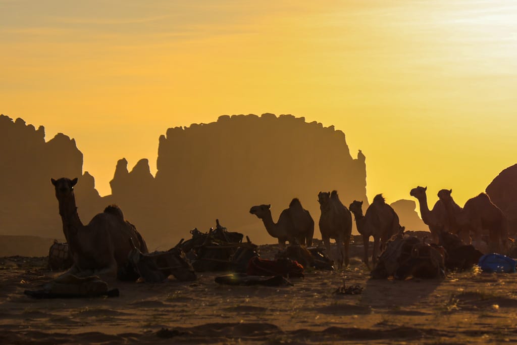 caravana de sal en ennedi