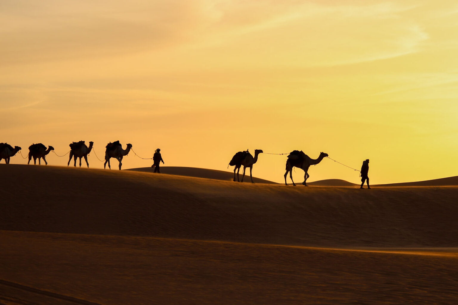 caravanas de sal en el desierto